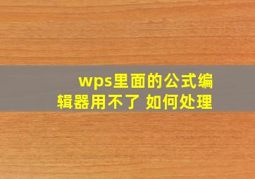 wps里面的公式编辑器用不了 如何处理